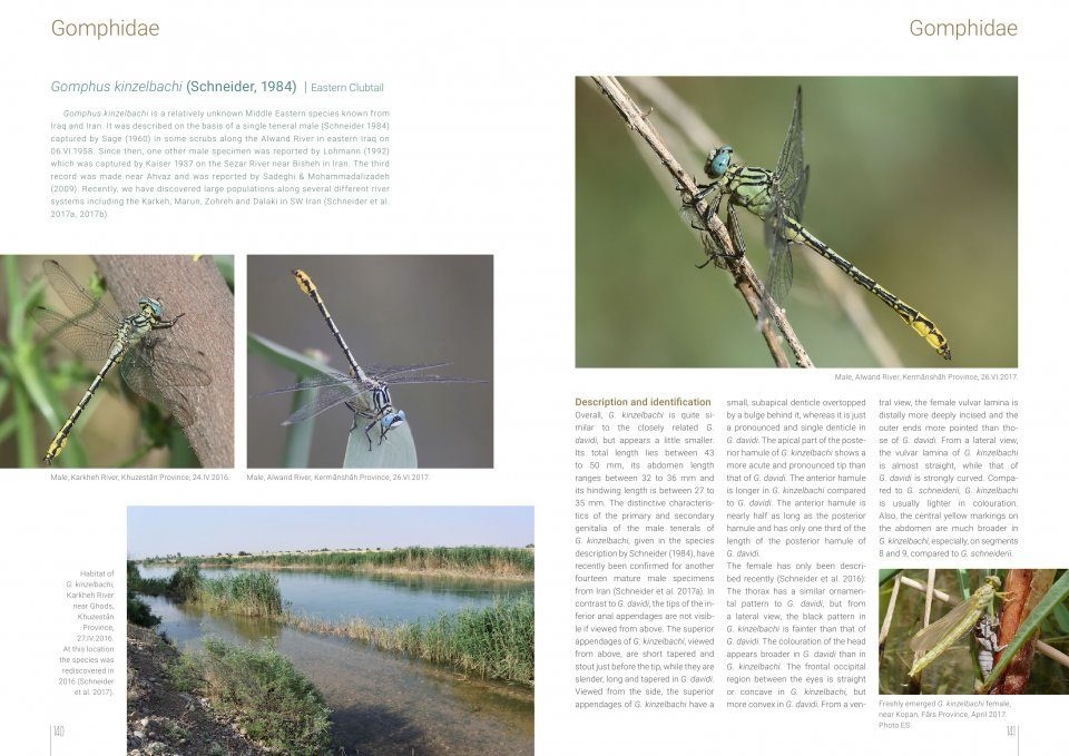 The Damselflies and Dragonflies of Iran - Odonata Persica