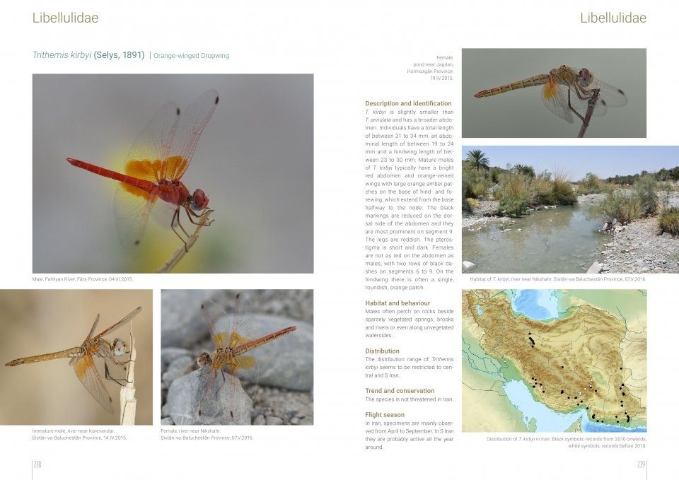 The Damselflies and Dragonflies of Iran - Odonata Persica