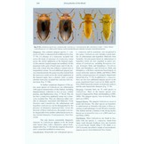 Diving Beetles of the World - Systematics and Biology of the Dytiscidae