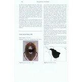 Diving Beetles of the World - Systematics and Biology of the Dytiscidae