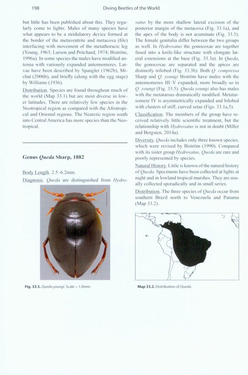 Diving Beetles of the World - Systematics and Biology of the Dytiscidae