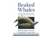 Beaked Whales
