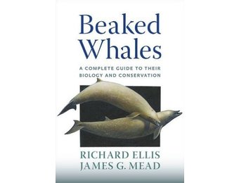 Beaked Whales