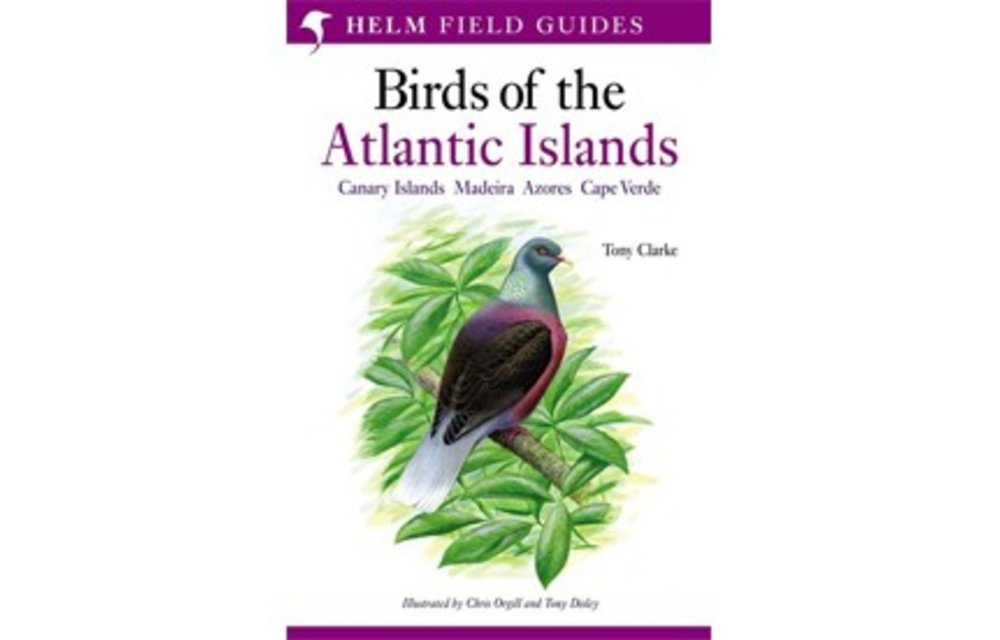Birds of the Atlantic Islands