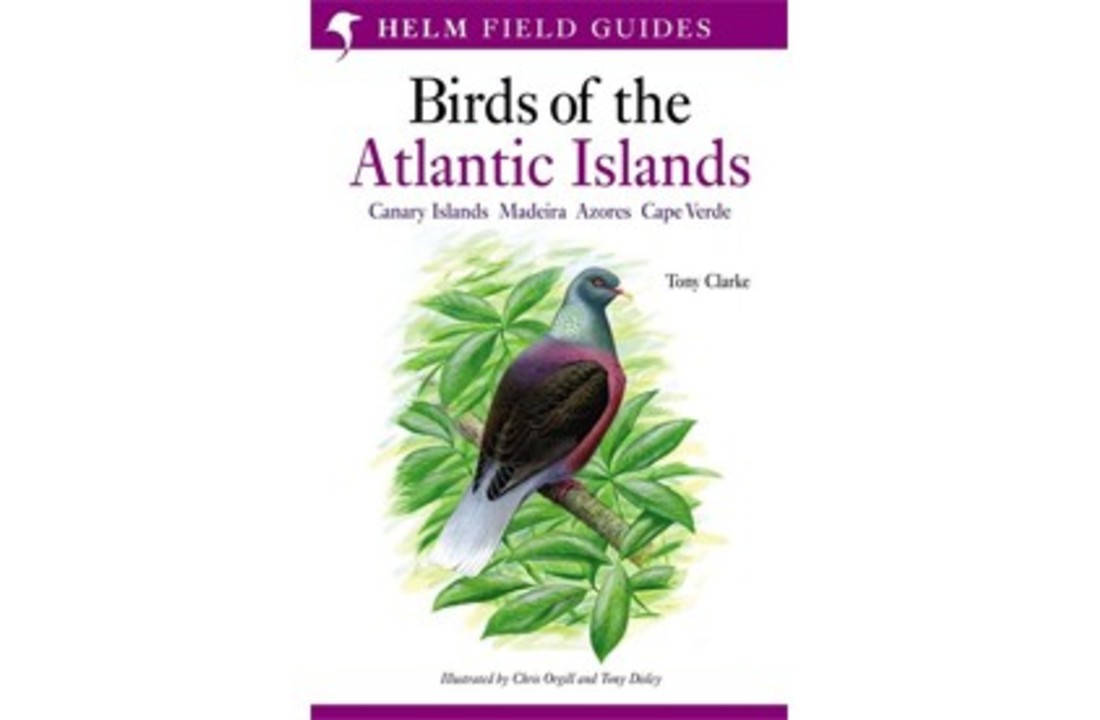 Birds of the Atlantic Islands