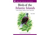Birds of the Atlantic Islands