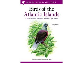 Birds of the Atlantic Islands
