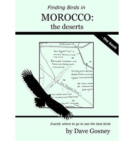 Finding Birds in Morocco: the deserts