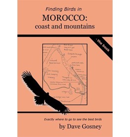 Finding Birds in Morocco: coast and mountains