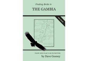 Finding Birds in The Gambia