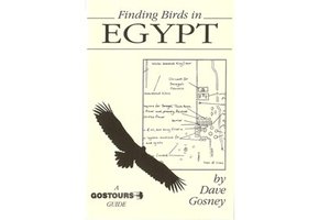 Finding Birds in Egypt