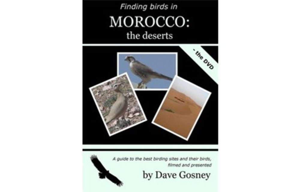 Finding Birds in Morocco: the deserts DVD
