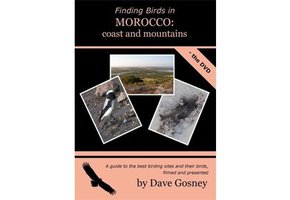 Finding Birds in Morocco: coast and mountains DVD