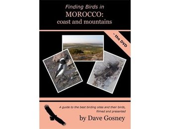 Finding Birds in Morocco: coast and mountains DVD