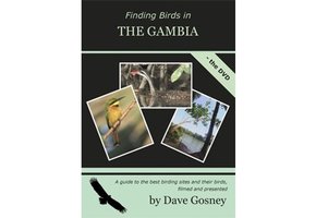 Finding Birds in Gambia DVD