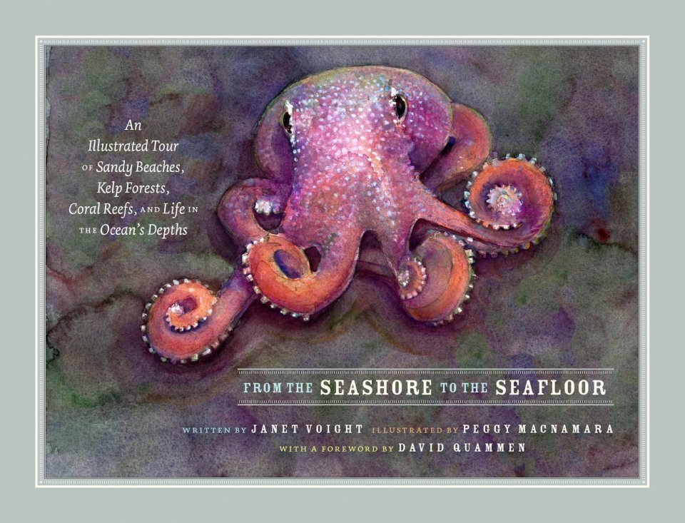 From the Seashore to the Seafloor - An Illustrated Tour of Sandy Beaches, Kelp Forests, Coral Reefs, and Life in the Ocean’s Depths