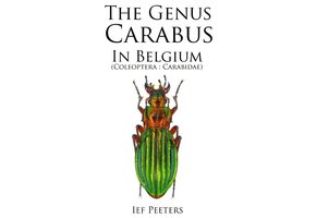 The Genus Carabus in Belgium