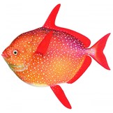 Fishes of the Salish Sea: Puget Sound and the Straits of Georgia and Juan de Fuca (3-Volume Set)