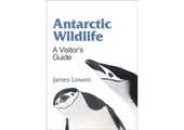 Antarctic Wildlife