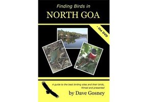 Finding Birds in North Goa DVD