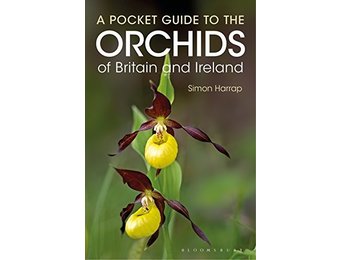 A Pocket Guide to the Orchids of Britain and Ireland