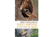 Where to Watch Birds in Dorset, Hampshire and the Isle of Wight