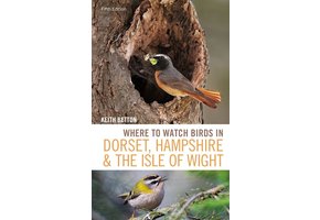 Where to Watch Birds in Dorset, Hampshire and the Isle of Wight