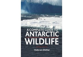 A Complete Guide to Antarctic Wildlife