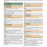 Coastal Phytoplankton - Photo Guide for Northern European Seas