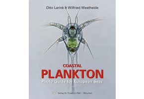 Coastal Plankton