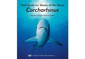 Field Guide for Sharks of the Genus Carcharhinus