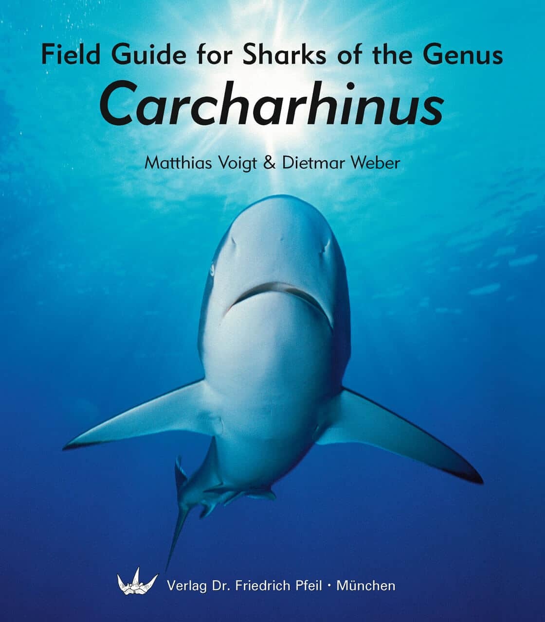 Field Guide for Sharks of the Genus Carcharhinus