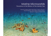 Marine Microworlds
