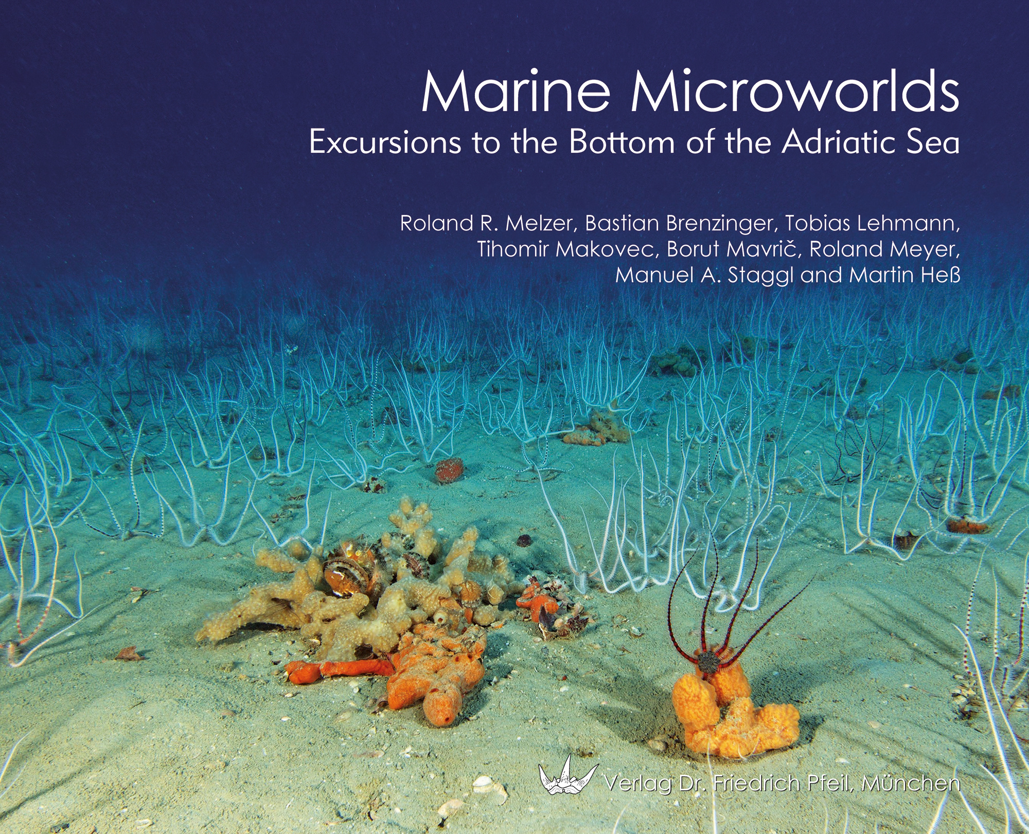 Marine Microworlds - Excursions to the Bottom of the Adriatic Sea