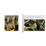 Marine Microworlds - Excursions to the Bottom of the Adriatic Sea