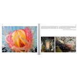 Marine Microworlds - Excursions to the Bottom of the Adriatic Sea