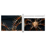 Marine Microworlds - Excursions to the Bottom of the Adriatic Sea