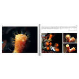 Marine Microworlds - Excursions to the Bottom of the Adriatic Sea