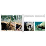 Marine Microworlds - Excursions to the Bottom of the Adriatic Sea