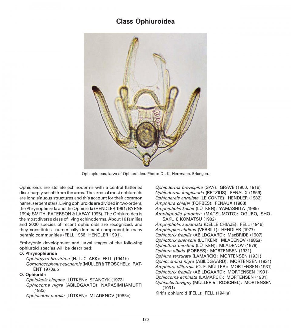 Atlas of Comparative Invertebrate Embryology: The Archicoelomata Theory (5-Volume Set)