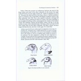 Vultures - Their Evolution, Ecology and Conservation