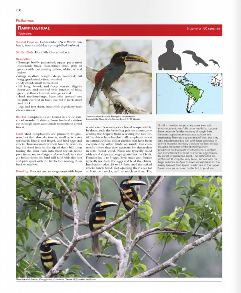 Bird Families of the World