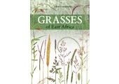 Grasses of East Africa