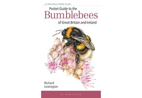 Pocket Guide to the Bumblebees of Great Britain and Ireland
