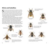 Pocket Guide to the Bumblebees of Great Britain and Ireland