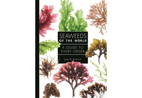 Seaweeds of the World
