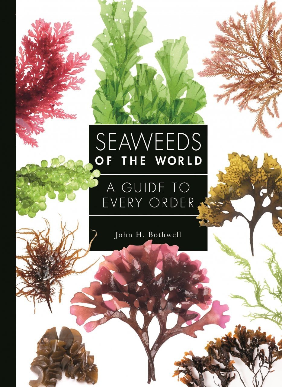 Seaweeds of the World - A Guide to Every Order