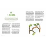 Minibos in je tuin - Inspiratie, voorbeelden en stappenplan voor de eigen tuin