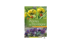 Plantes de Montagne