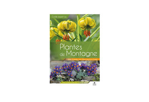 Plantes de Montagne